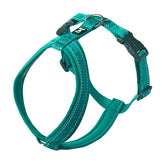Hurtta Casual Y-hundsele ECO turkos 90–100 cm