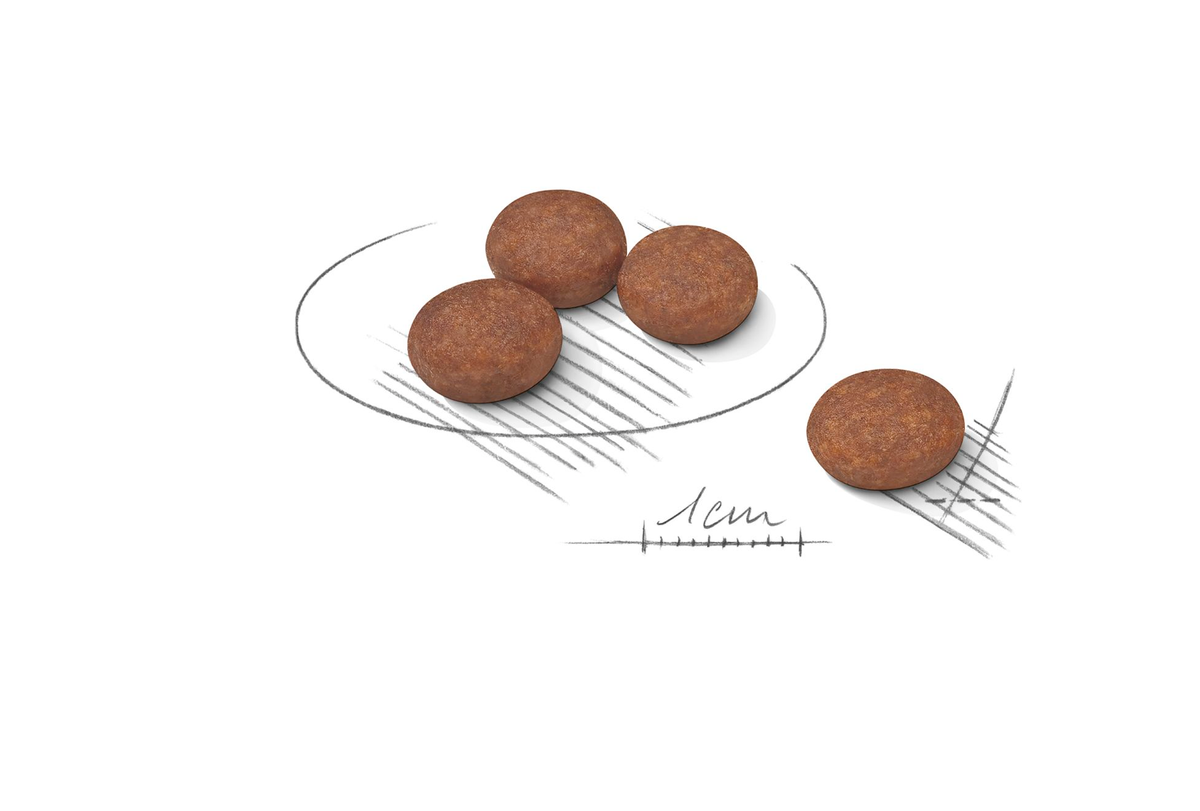 Royal Canin Digestive Care Mini torrfoder