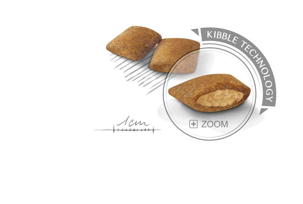 Royal Canin Exigent Mini torrfoder 1 kg för hundar