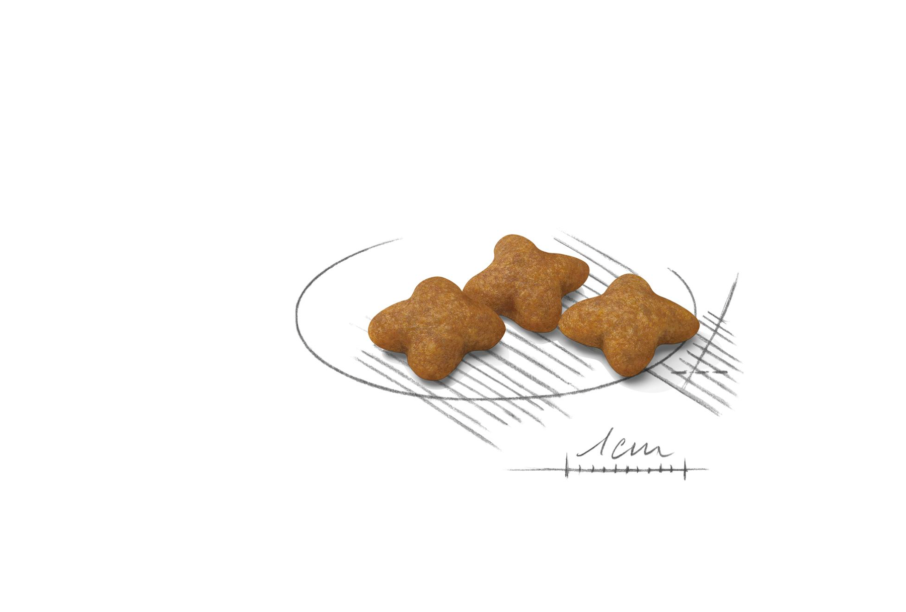 Royal Canin Sterilised X-Small för hundar 1,5 kg