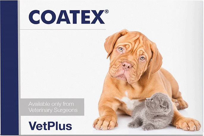 Vetplus Coatex kapsel för katt och hund 60 st
