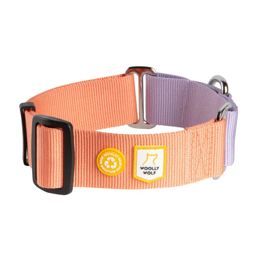 Woolly Wolf Color Block Martingale Dog Collar