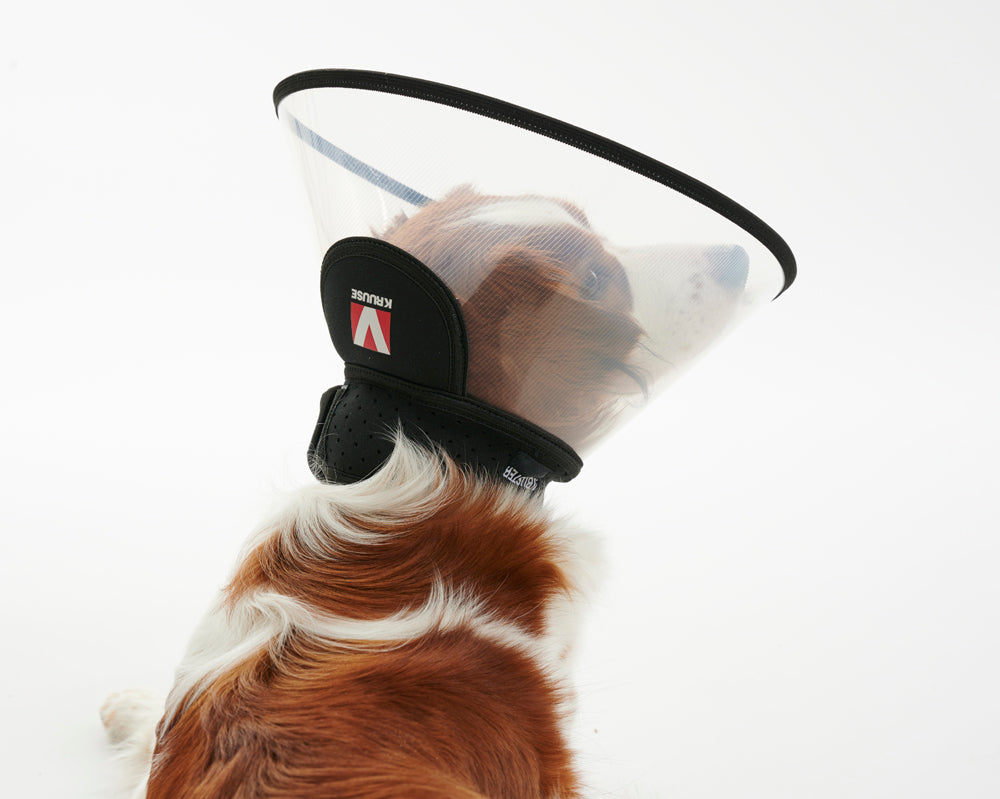 Buster Complete Protective Collar 7.5 cm