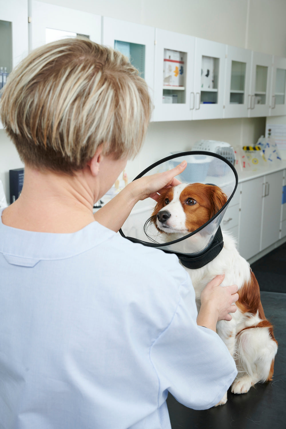 Buster Complete Protective Collar 7.5 cm