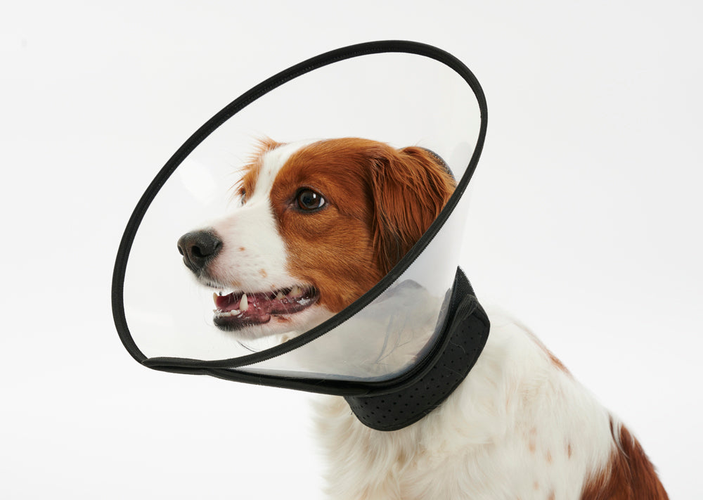 Buster Complete Protective Collar 7.5 cm