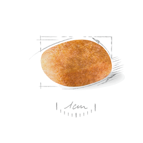 Royal Canin Dalmatian Adult torrfoder för hundar 12 kg