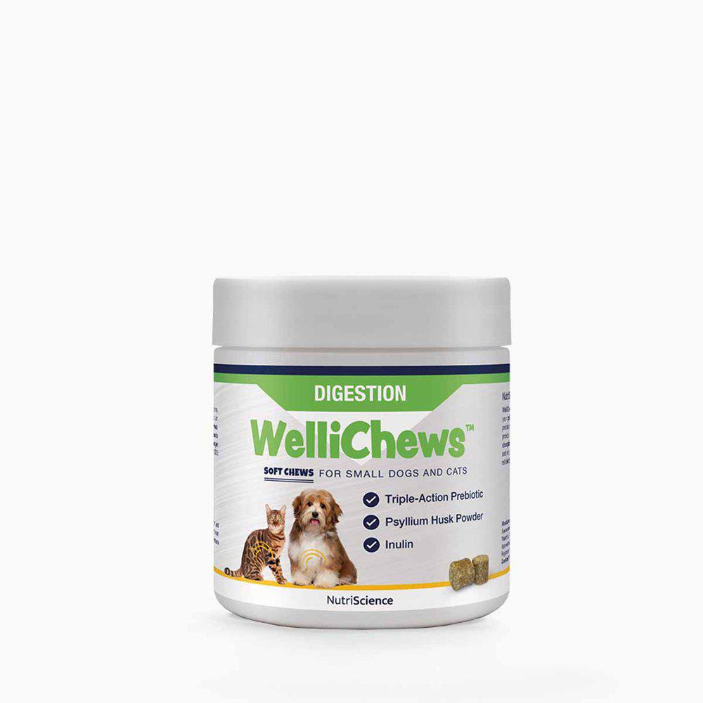 Wellichews Digestion small dog & cat 120 st för hundar och katter