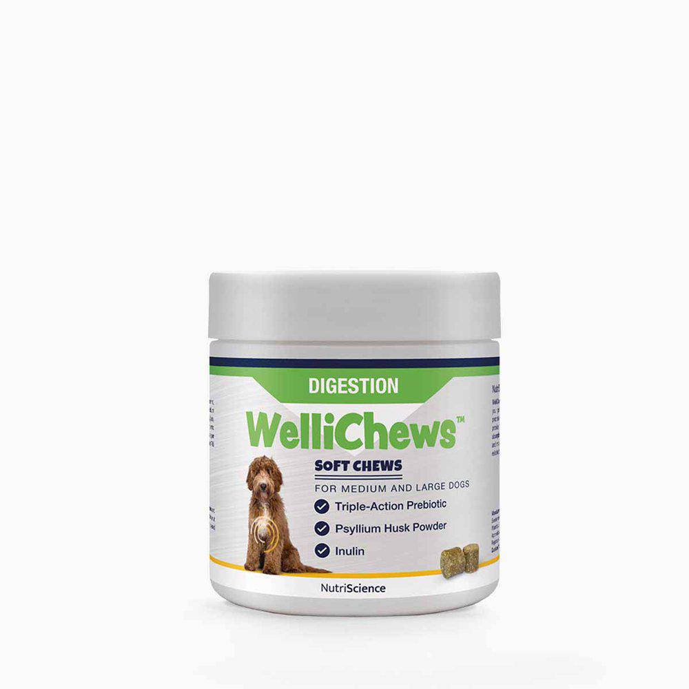 Wellichews Digestion medium & large breed 60 st för hundar