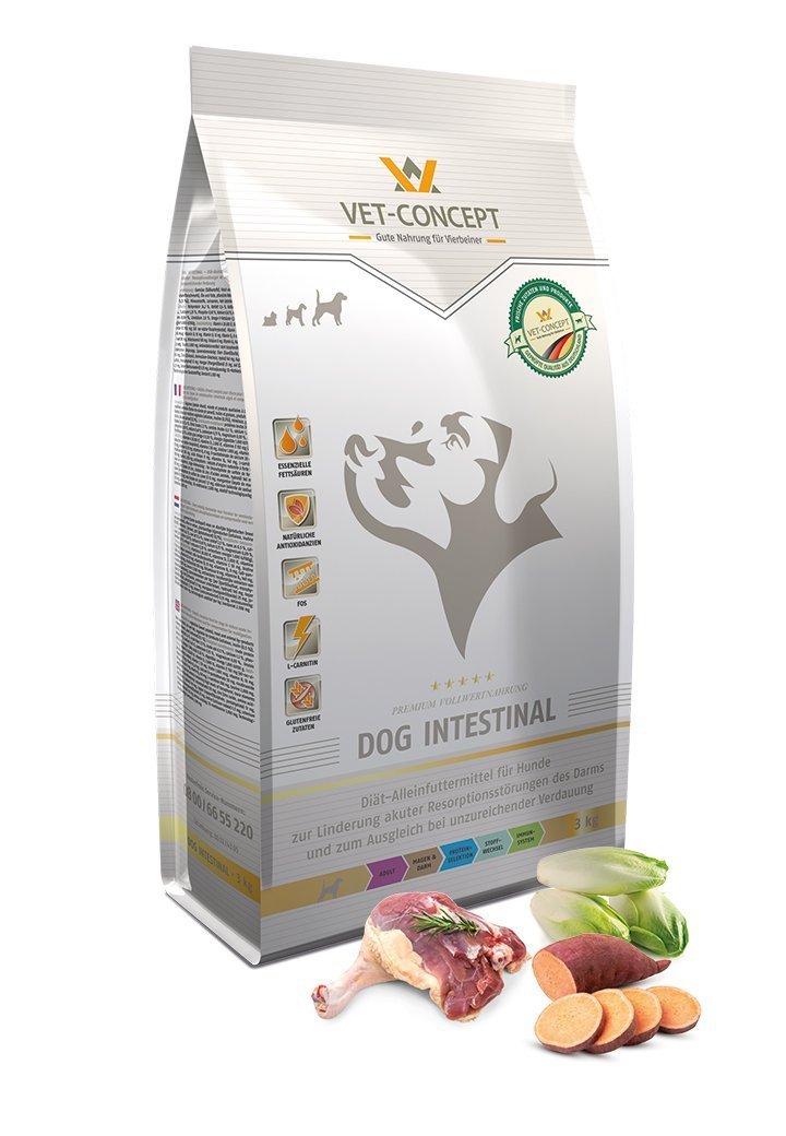 Dog Intestinal - Vet Concept