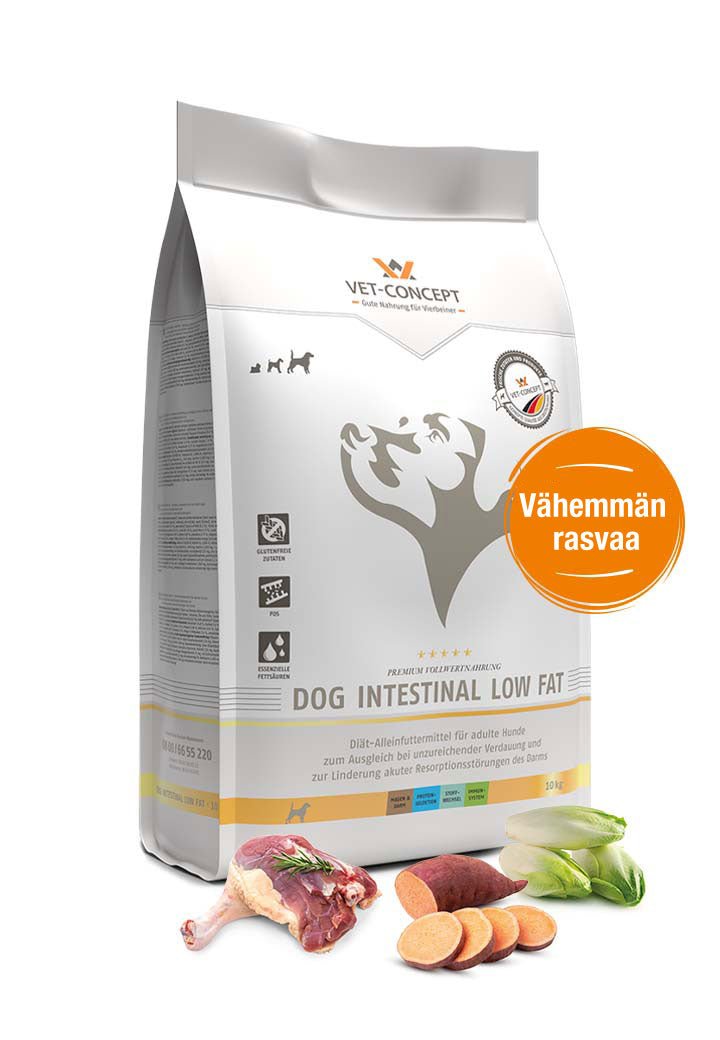 Dog Intestinal Low Fat - Vet Concept