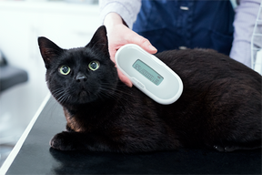 SURESense Microchip Reader