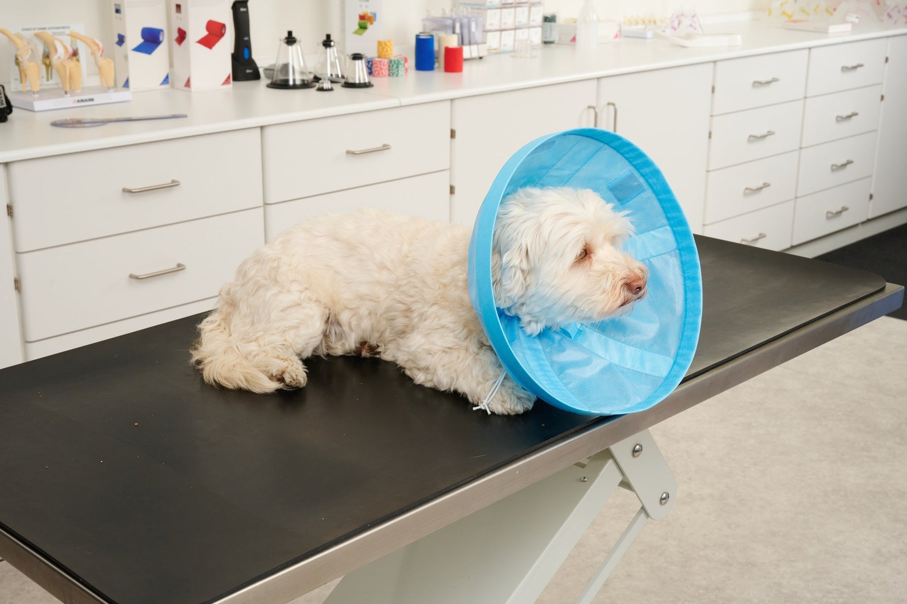 Buster Soft Flex Collar 7.5 cm