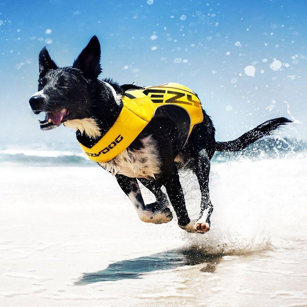 EzyDog X2 Boozt flytväst för hund
