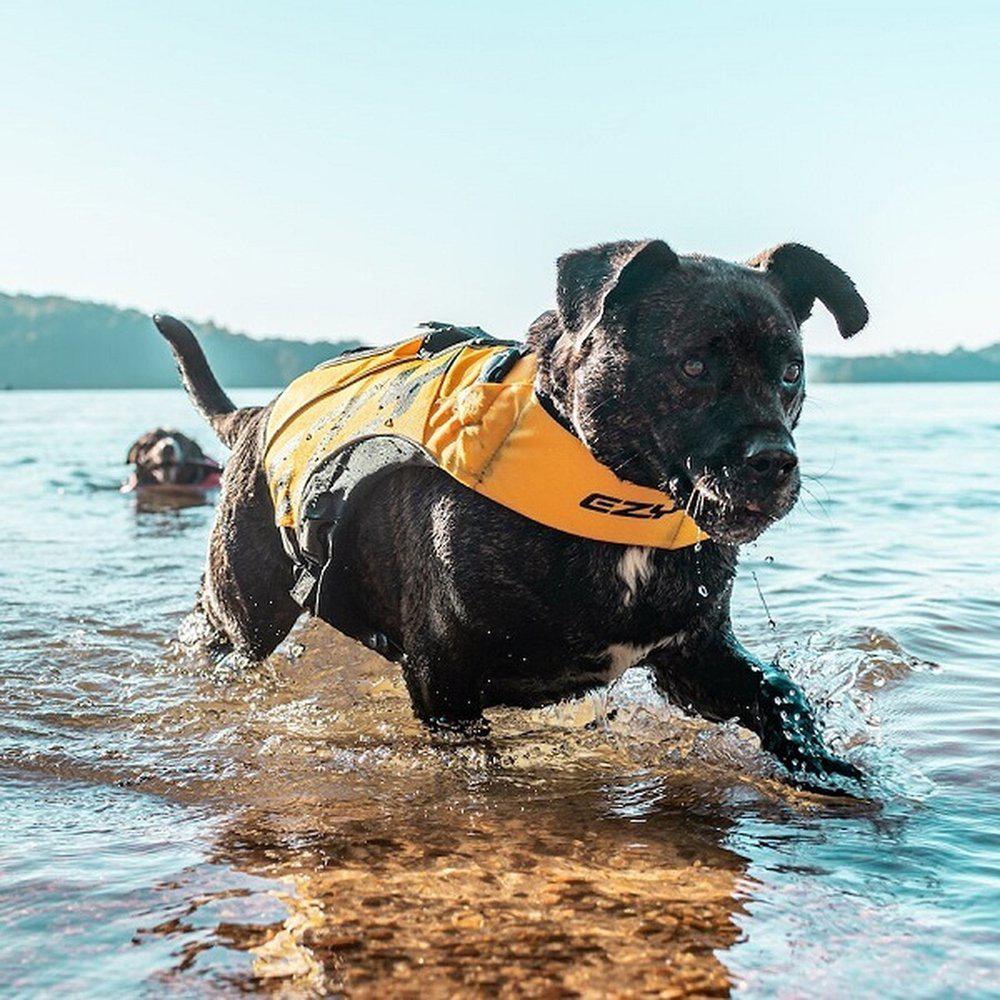 EzyDog X2 Boozt flytväst för hund