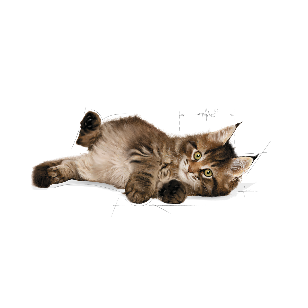 Royal Canin Maine Coon Kitten 400 g för katter