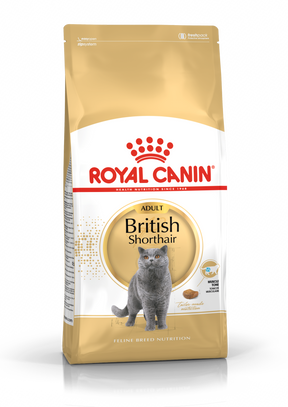 Royal Canin British Shorthair Adult torrfoder för katt 10 kg