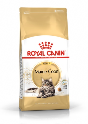 Royal Canin Maine Coon Adult 10 kg för katter
