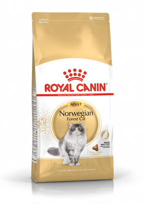Royal Canin Norwegian Forest Cat Adult dry cat food 10 kg