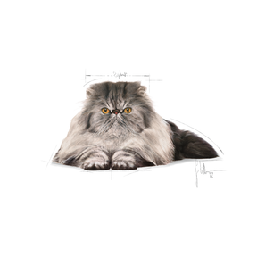 Royal Canin Persian Adult 400 g för katter