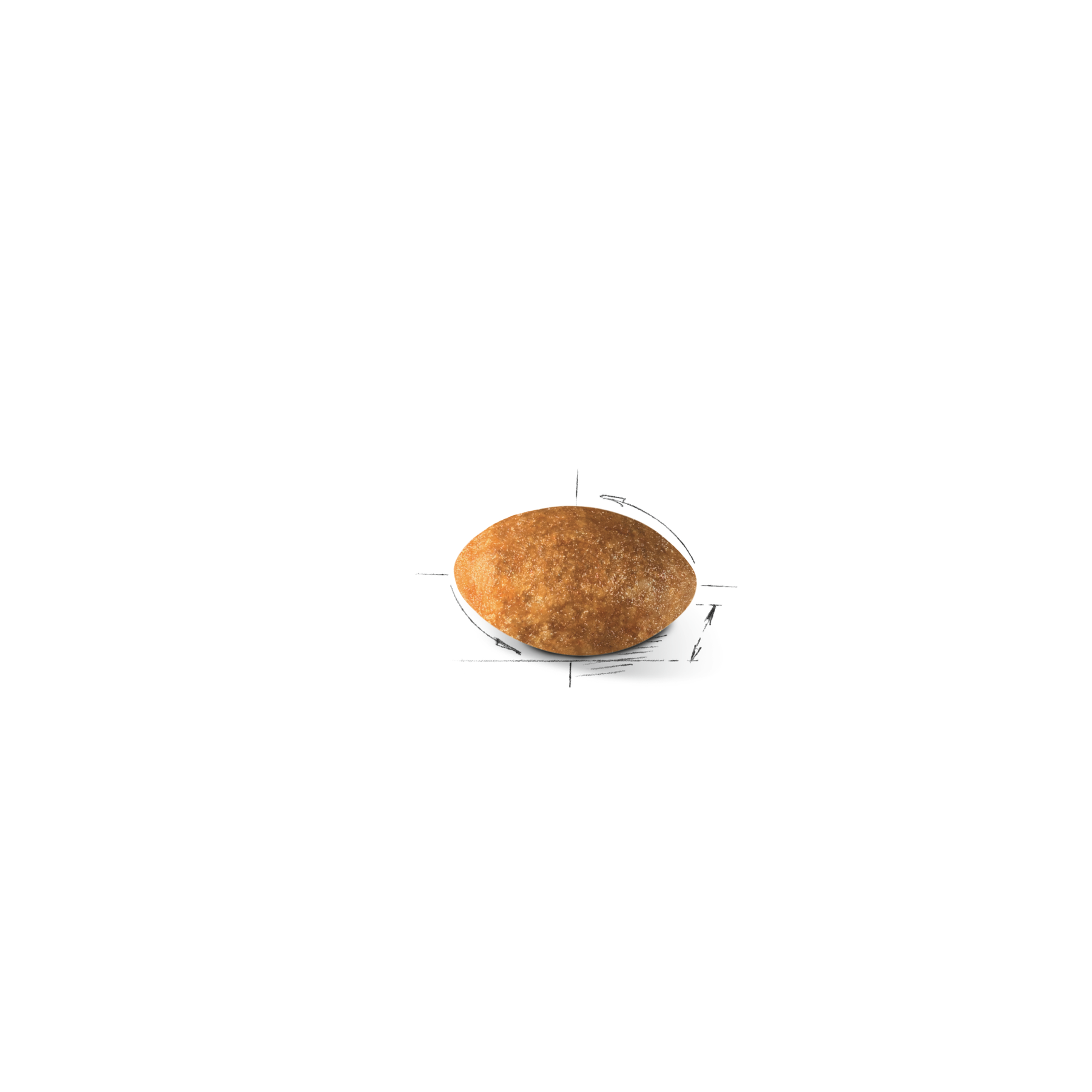 Royal Canin Persian Adult 400 g för katter