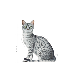Royal Canin Indoor Sterilised Gravy Våtfoder för Katt 12 x 85 g