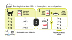 Royal Canin Sensory Smell Gravy katt 12 x 85 g