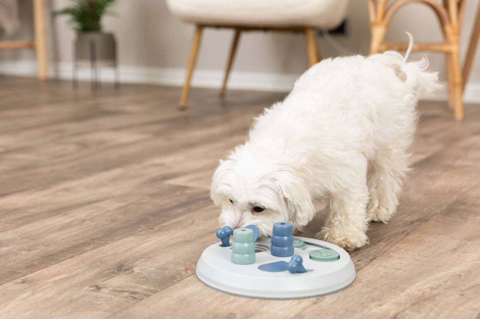 Trixie Activity Game Flip Board