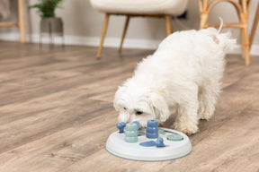 Trixie Activity Game Flip Board