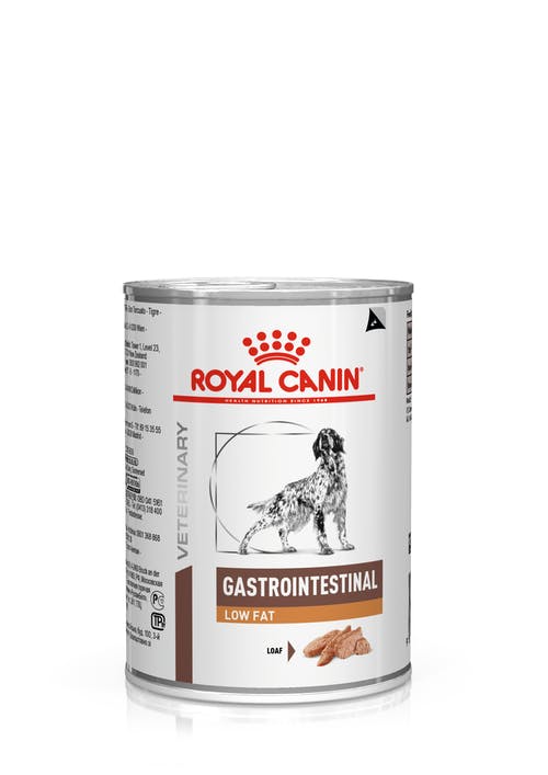 Royal Canin Veterinary Diets Gastrointestinal Low Fat Loaf Can wet food for dogs 420 g