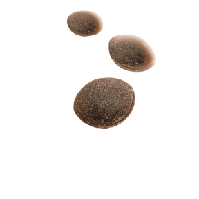 Royal Canin Training Treats Hundgodis 110 g