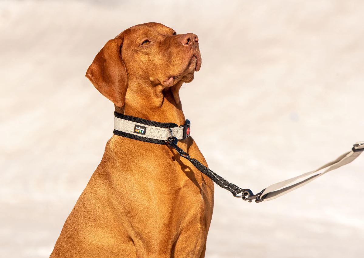 Rukka Bliss Dog Leash Extension Black L