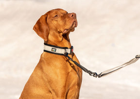 Rukka Bliss Dog Leash Extension Black M