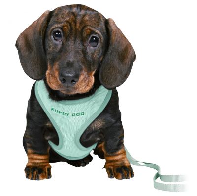 Trixie Junior Harness + Lead S–M Mint