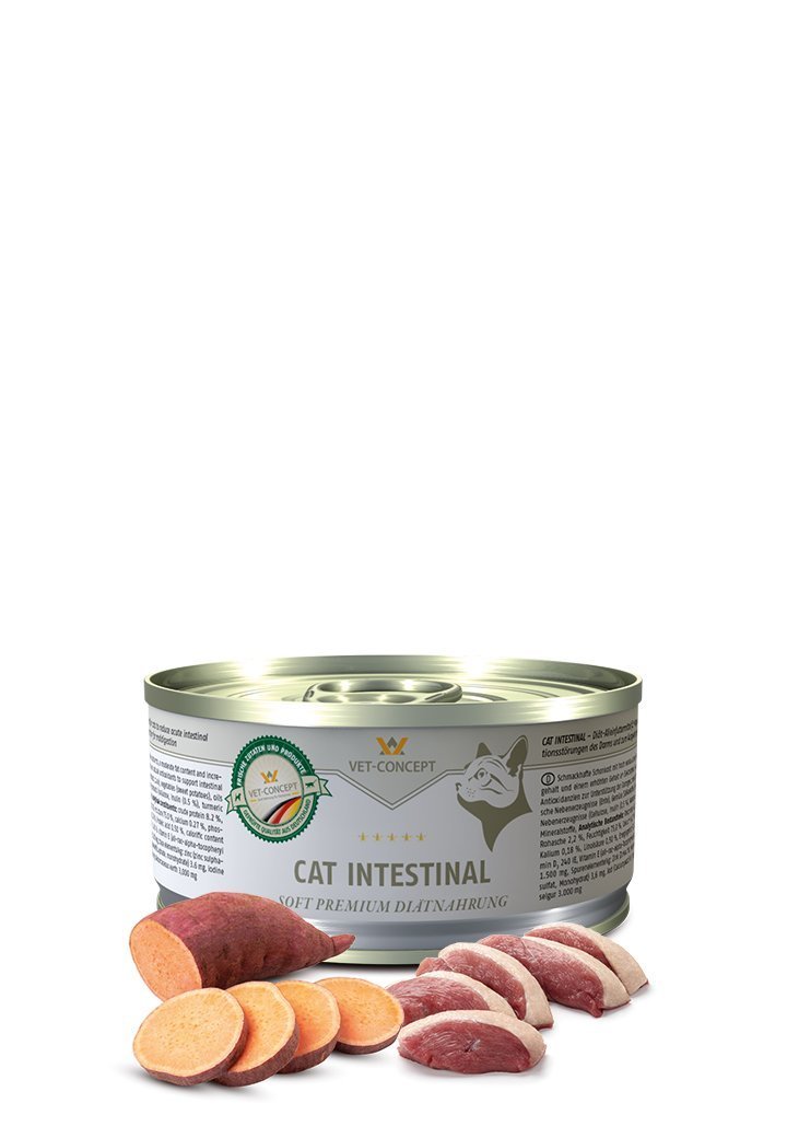 Vet Concept Cat Menu intestinal 200 g för katter