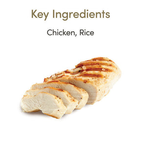 Applaws Kitten Chicken Breast in Jelly 70 g