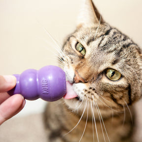Kitty Kong treat dispenser for cats