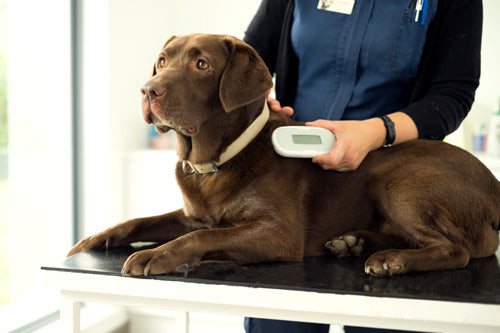 SURESense Microchip Reader