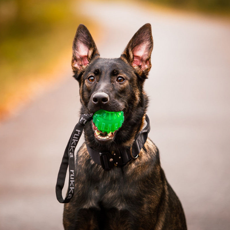 Rukka Gel boll med handtag grön