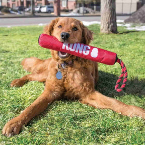 KONG Signature Stick med rep för hundar