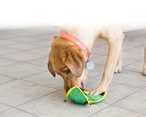 Kong Ballistic Hide'N Treat Medium