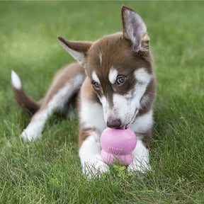 KONG Puppy Easy Treat 236 ml för valpar