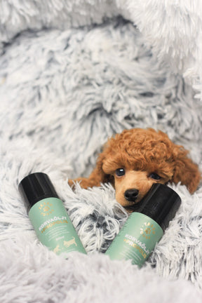 Tassu Foods Öronolja + Propolis 50ml