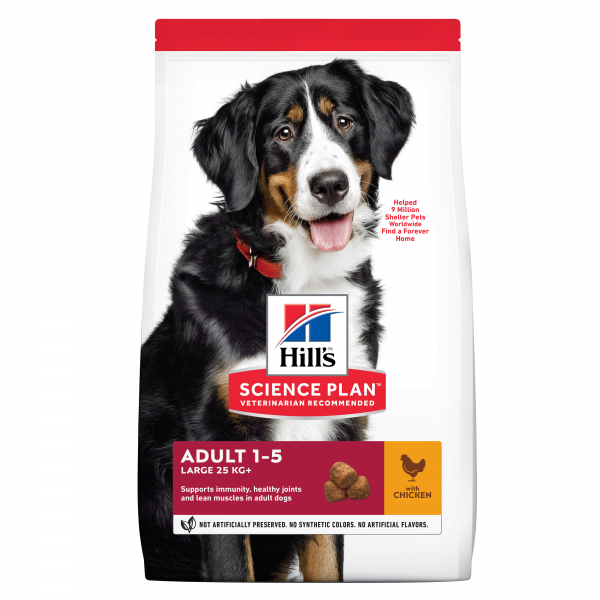 Hill's Science Plan Adult Large med kyckling 12 kg för hundar