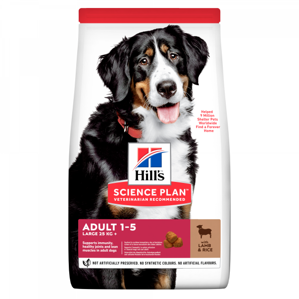 Hill's Science Plan Adult Large med lamm och ris 12 kg för hundar