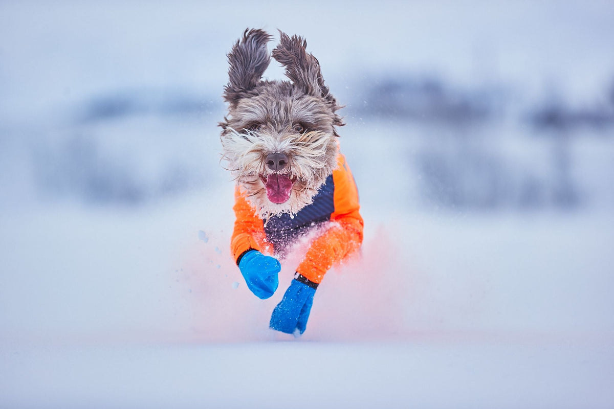 Non-stop Dogwear Long Distance Bootie 4 st