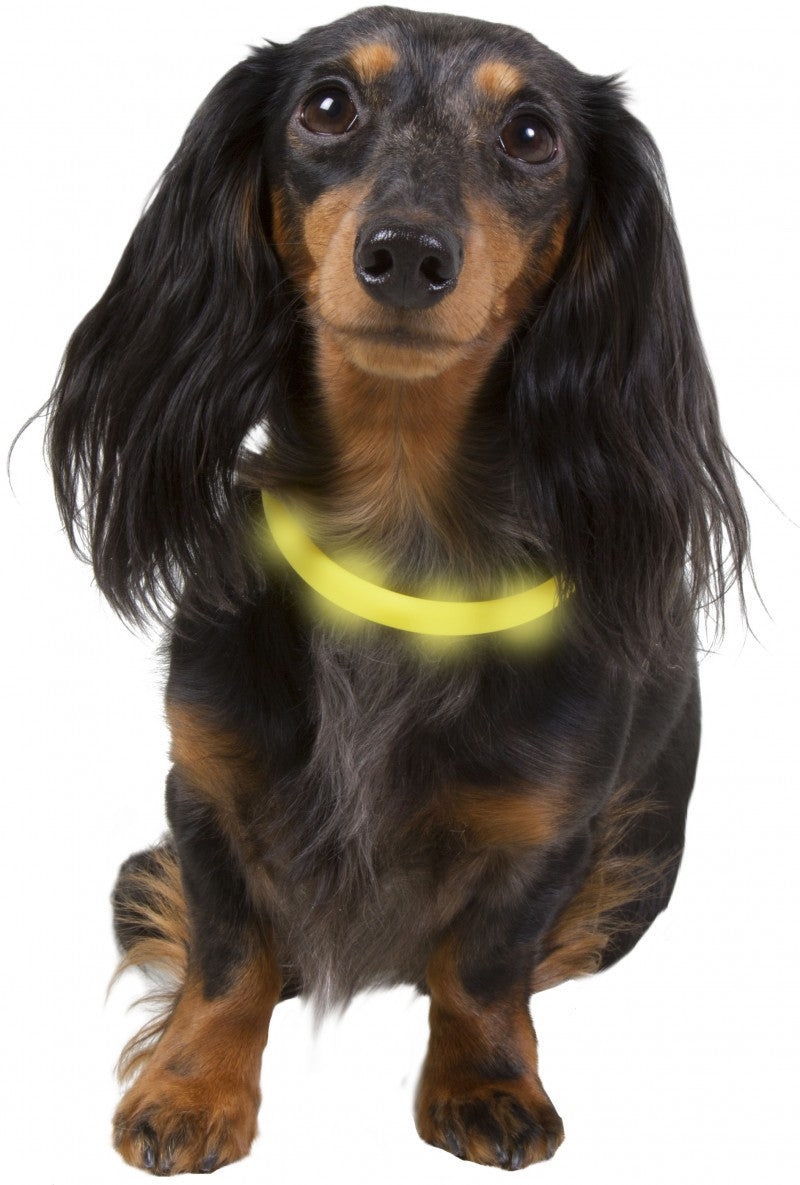 Best Friend Gear LED-ljushalsband 70 cm justerbart gult