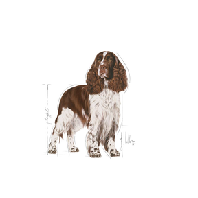Royal Canin Light Weight Care Medium 3 kg för hundar