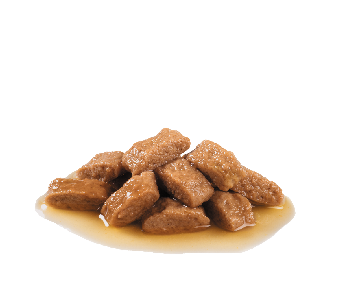 Royal Canin Medium Ageing 10 x 140 g för hundar