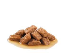 Royal Canin Medium Ageing 10+ märgtoit koertele 10 × 140 g