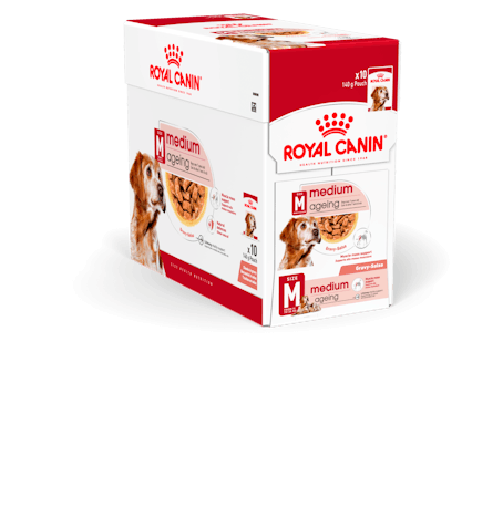 Royal Canin Medium Ageing 10 x 140 g för hundar